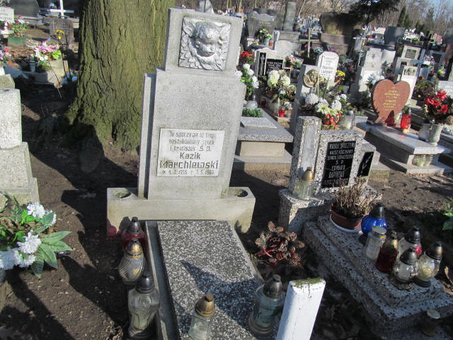 Grób Kazimierz Marchlewski